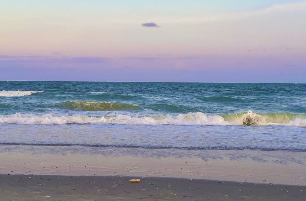 Photograph by Jennifer Moreno