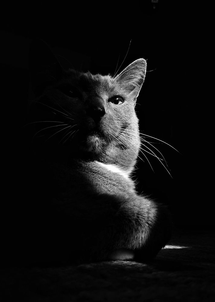 Фотография автора Екатерина Першина