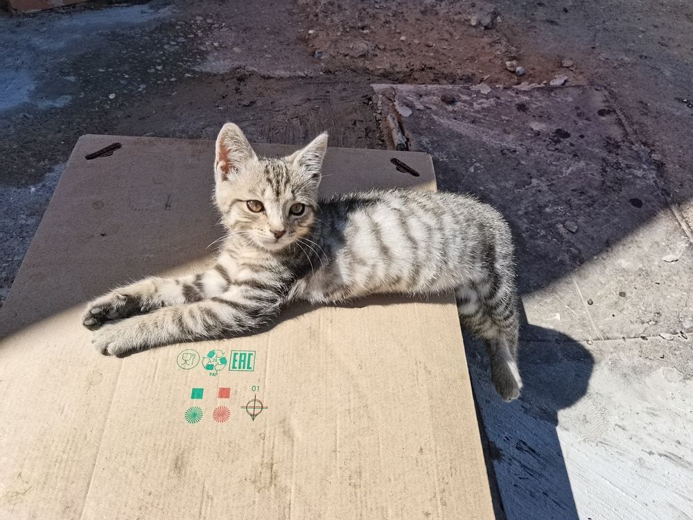 Фотография автора Екатерина Першина