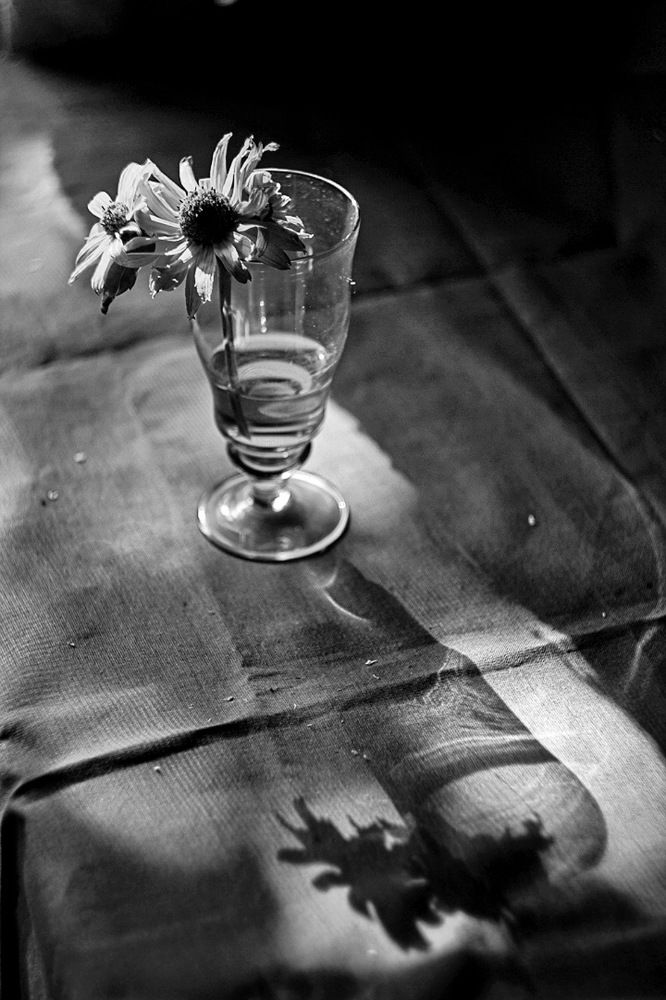 Фотография автора Екатерина Першина