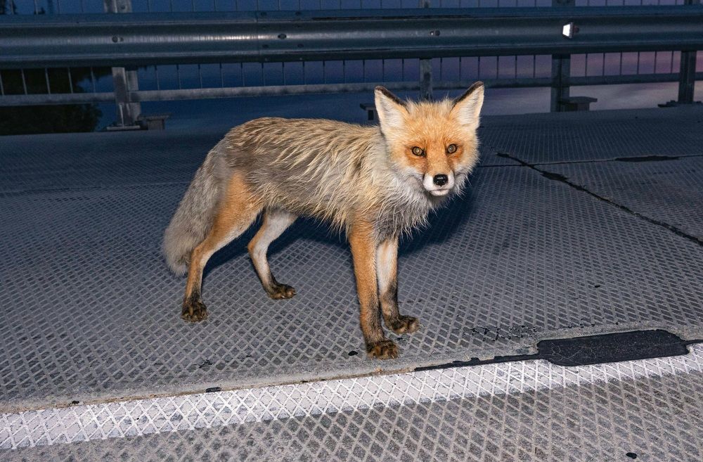 Photograph by Сергей Хитра