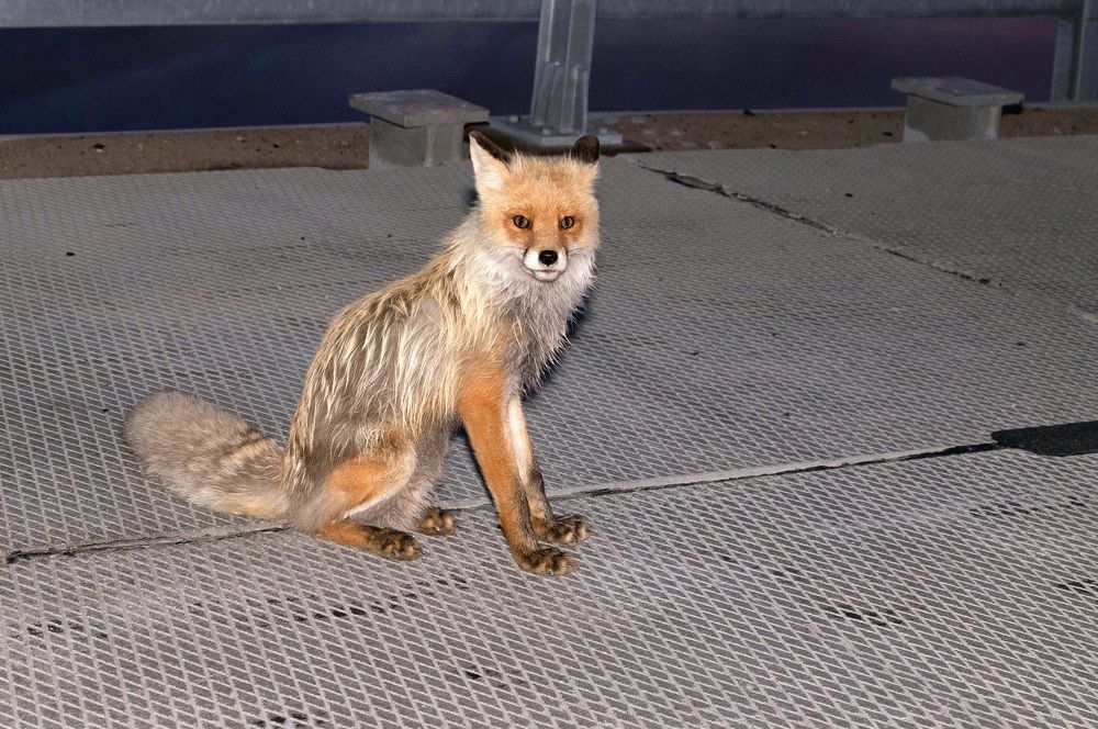 Photograph by Сергей Хитра