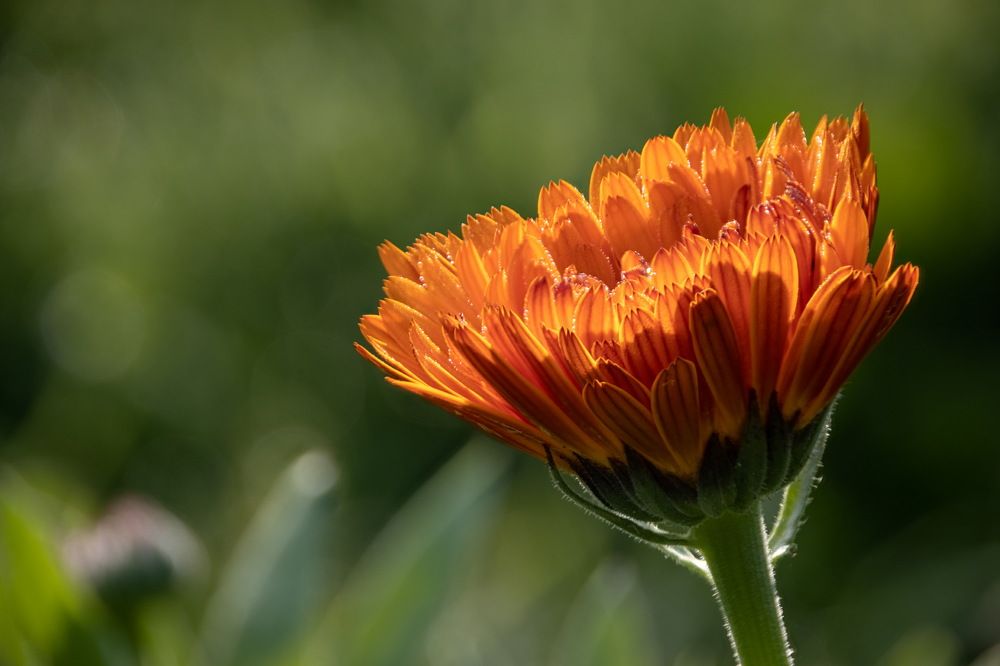 Photograph by Татьяна Романова