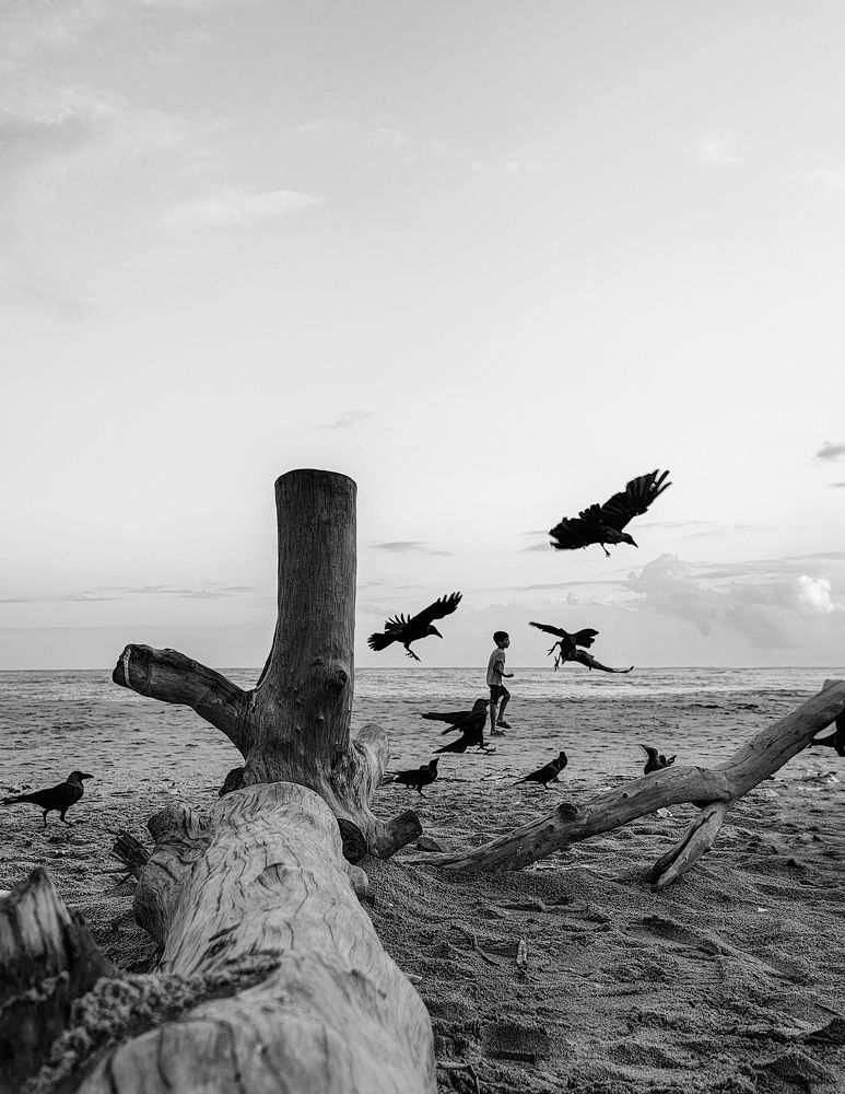 Photograph by GOVIND VISWANATH