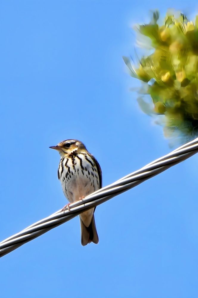 Photograph by Виктория Лобанова
