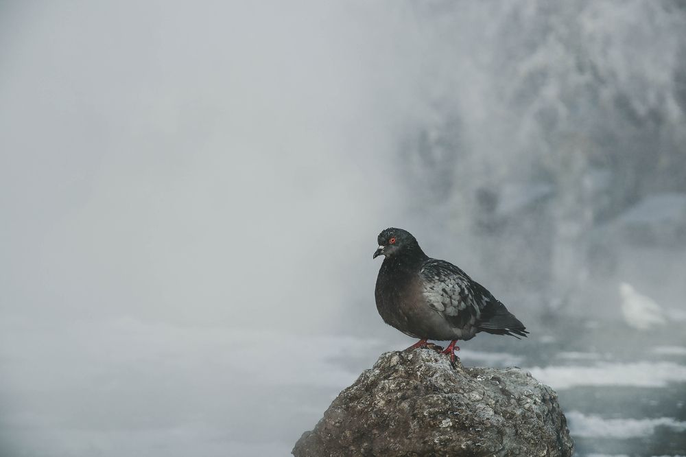 Photograph by Евгения Сенченко