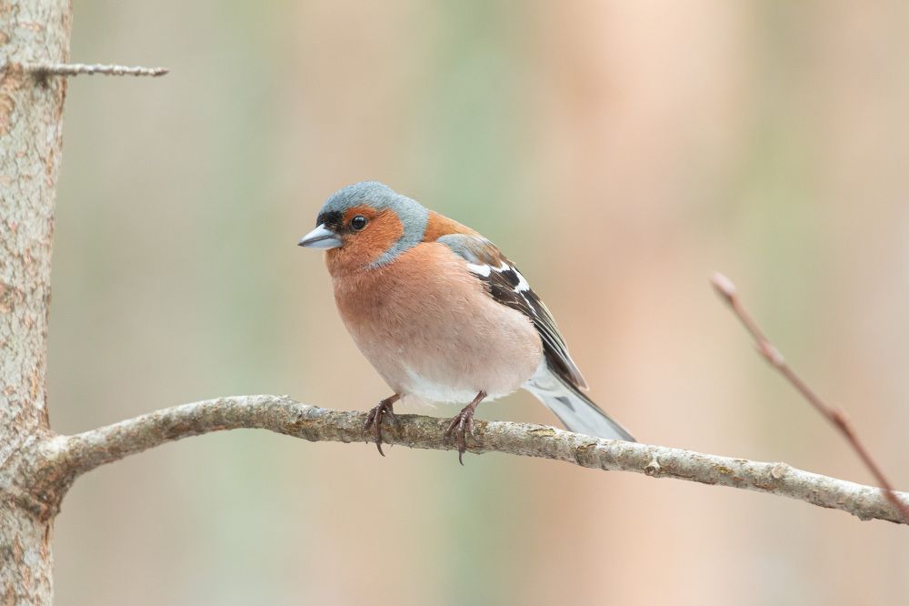 Photograph by Алексей