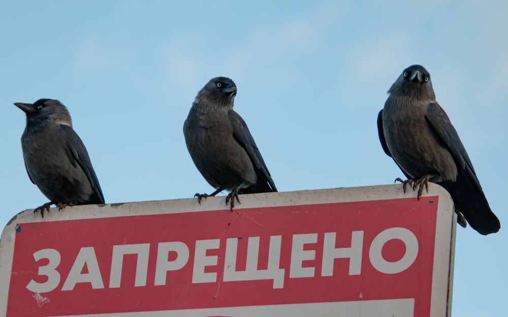 Photograph by Алексей