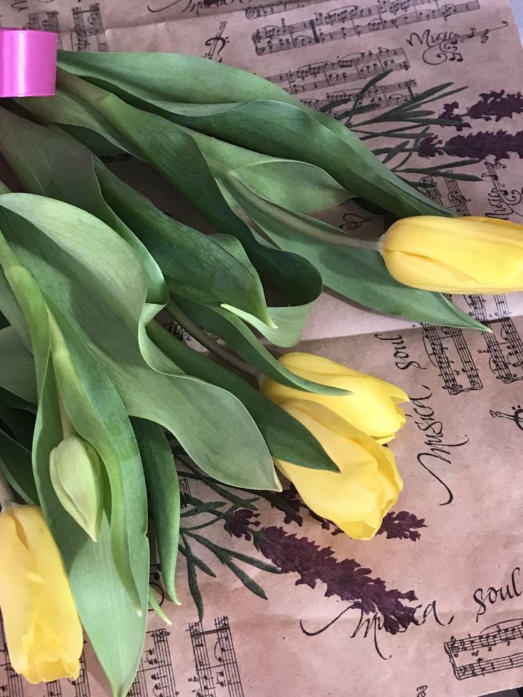 Photograph by АЛЛА ТАРАСЕНКО