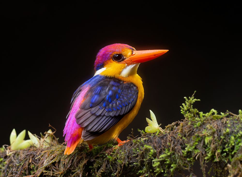 Photograph by Hrishikesh Sabnis