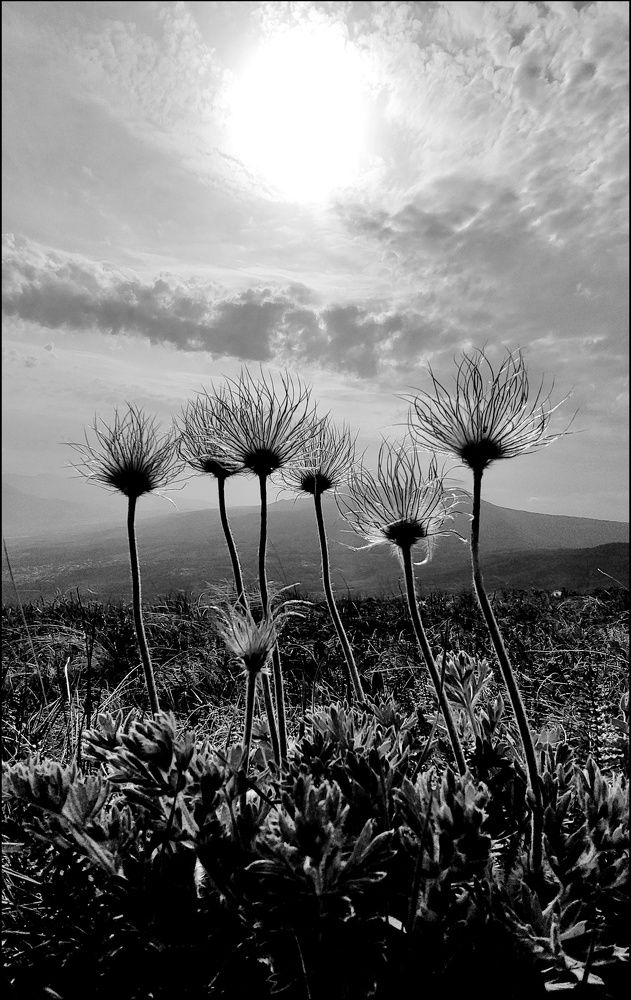 Фотография автора Васильева Дарья