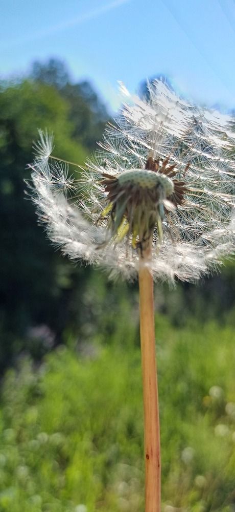 Photograph by Елена Каширина