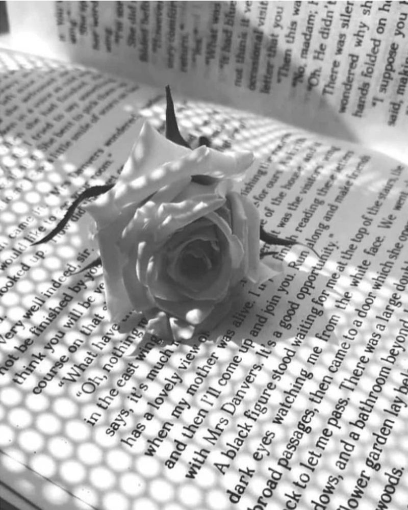 Photograph by Maryam Talepoor