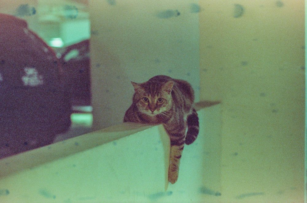 Фотография автора Lennis Yong