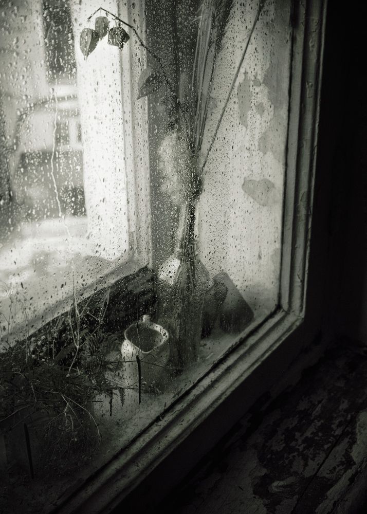 Фотография автора Дмитрий Гирев