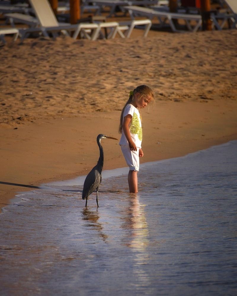 Photograph by Romanov Vyacheslav