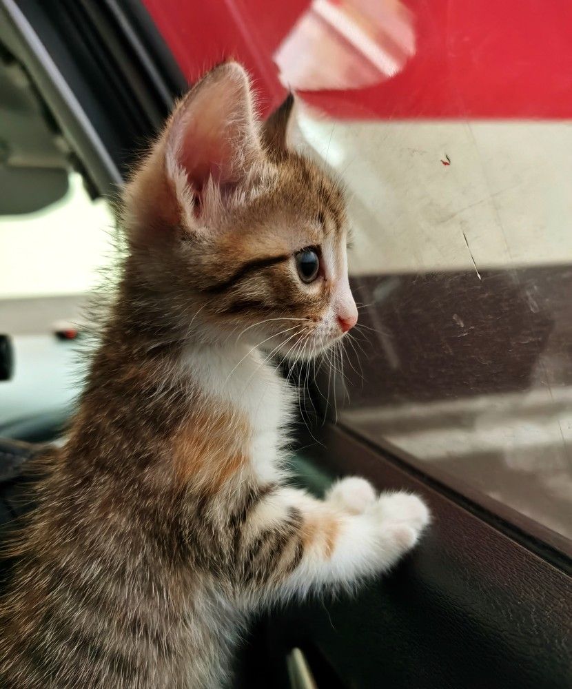 Photograph by Светлана Перминова