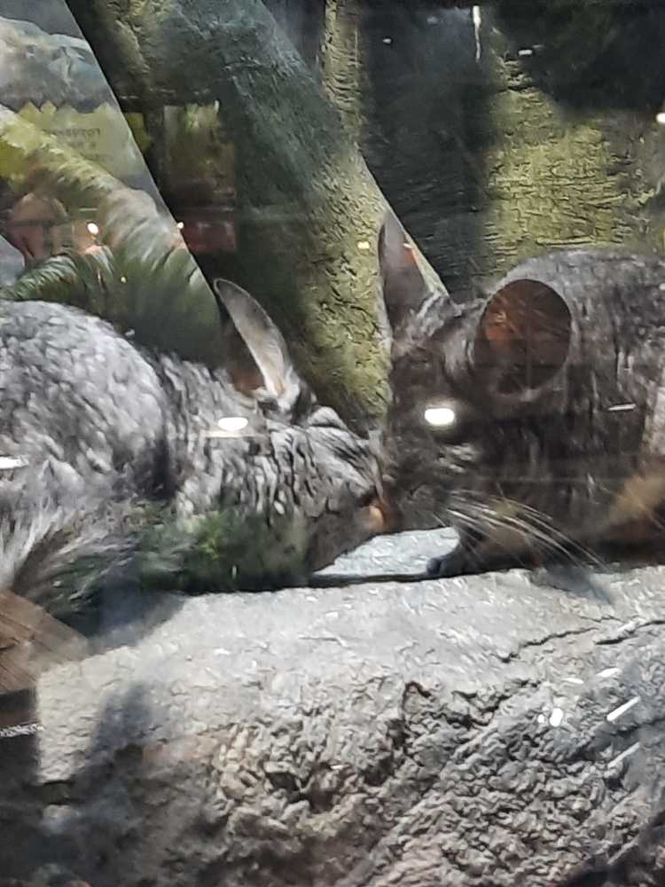 Photograph by Татьяна