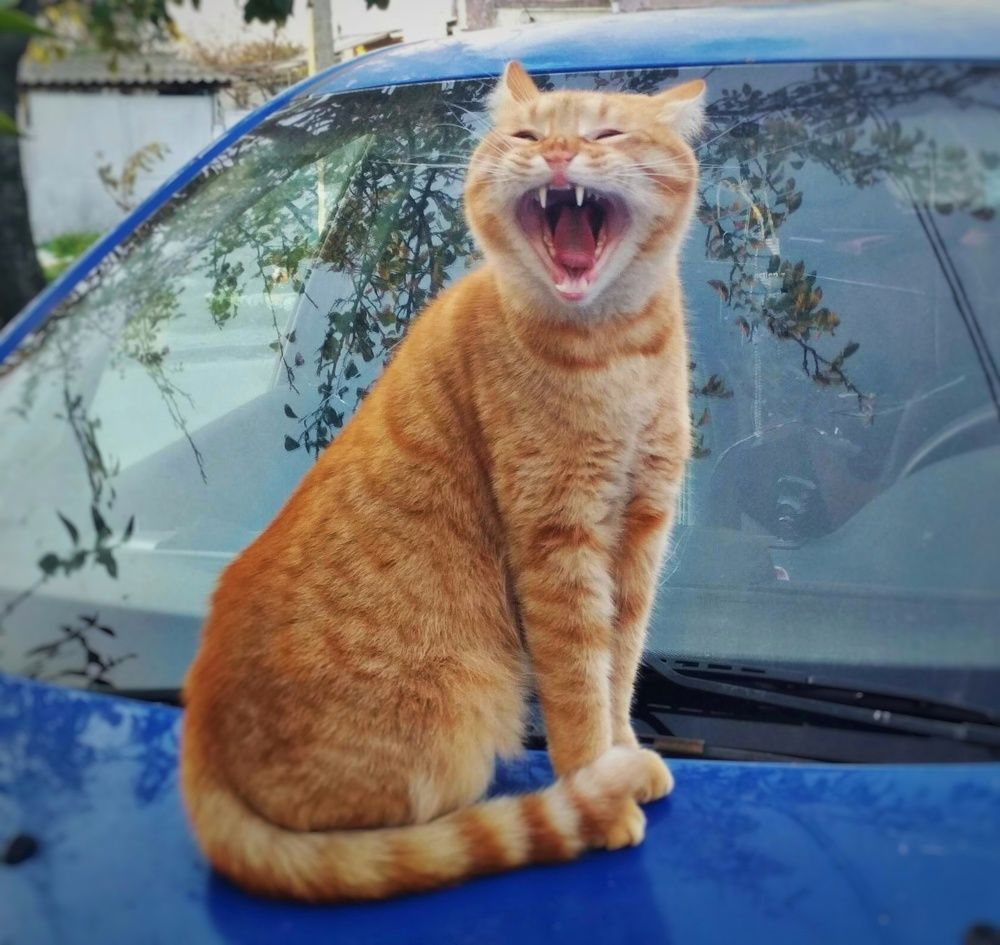 Photograph by Дарья Зотова