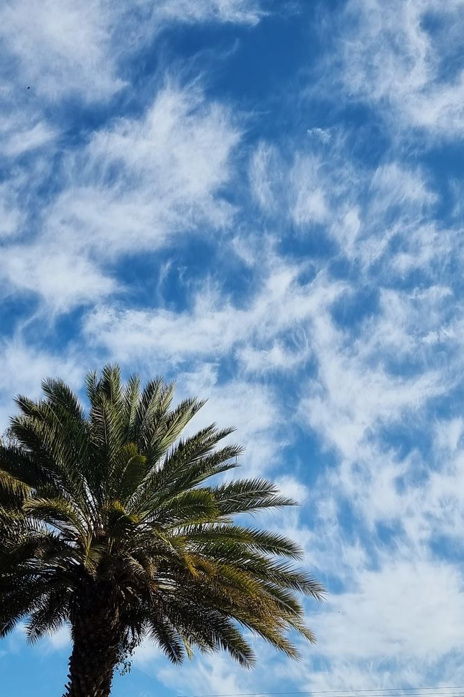 Photograph by Таня Чабаненко