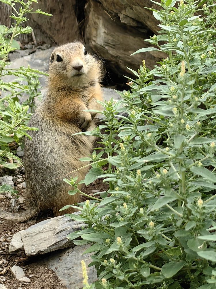 Photograph by Сергей Гриднев