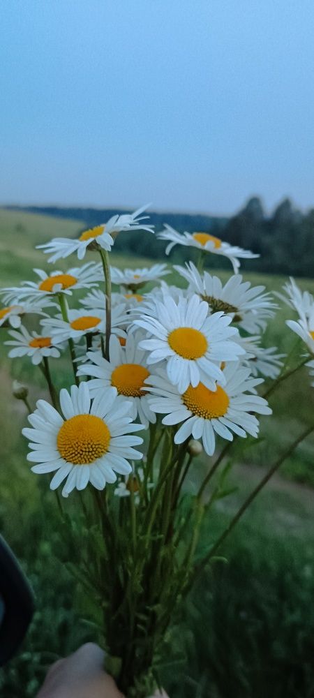 Photograph by Надежда Кнак