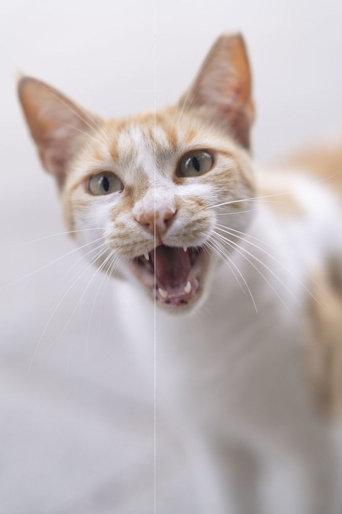 Фотография автора Alex Lerner