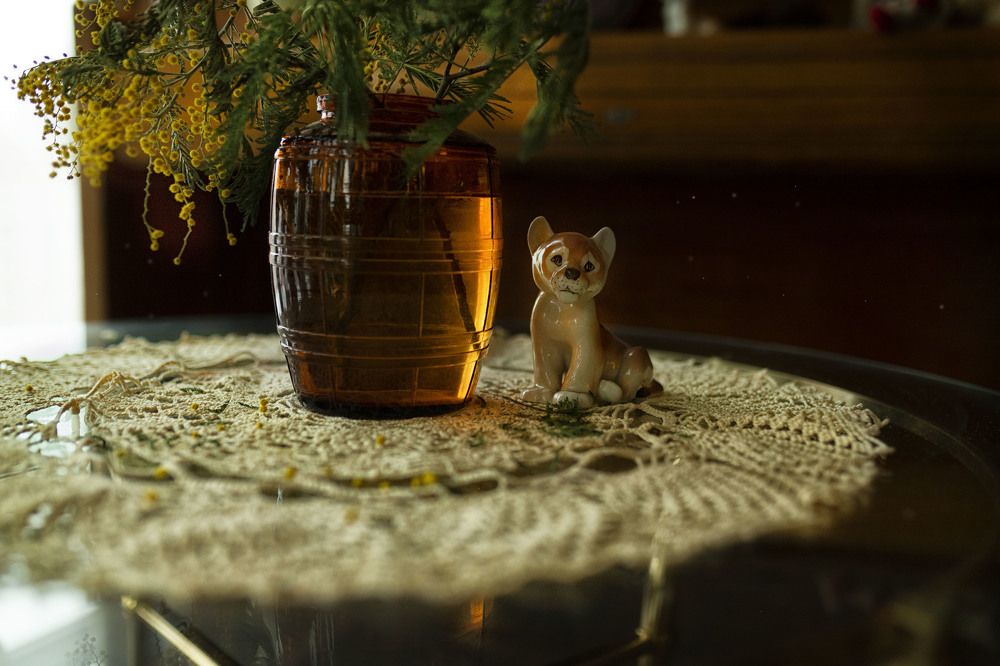 Photograph by ИРЕНА Цурпал