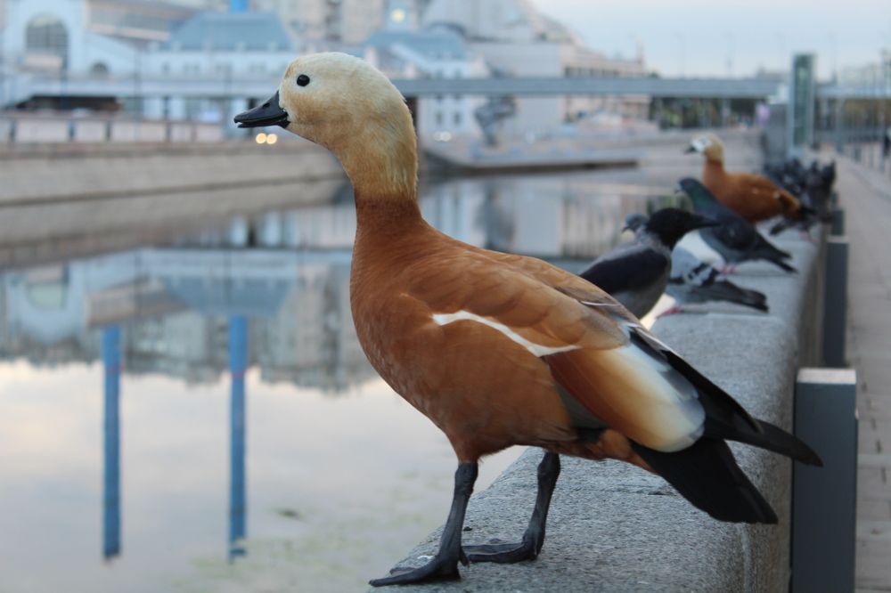 Photograph by Иван