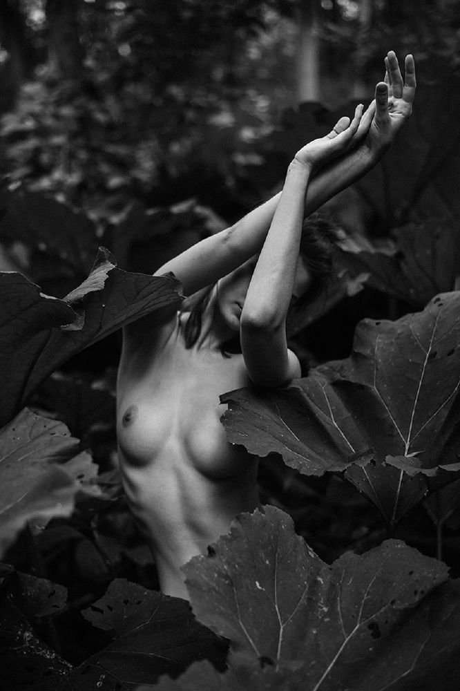 Photograph by Щеглова Марина