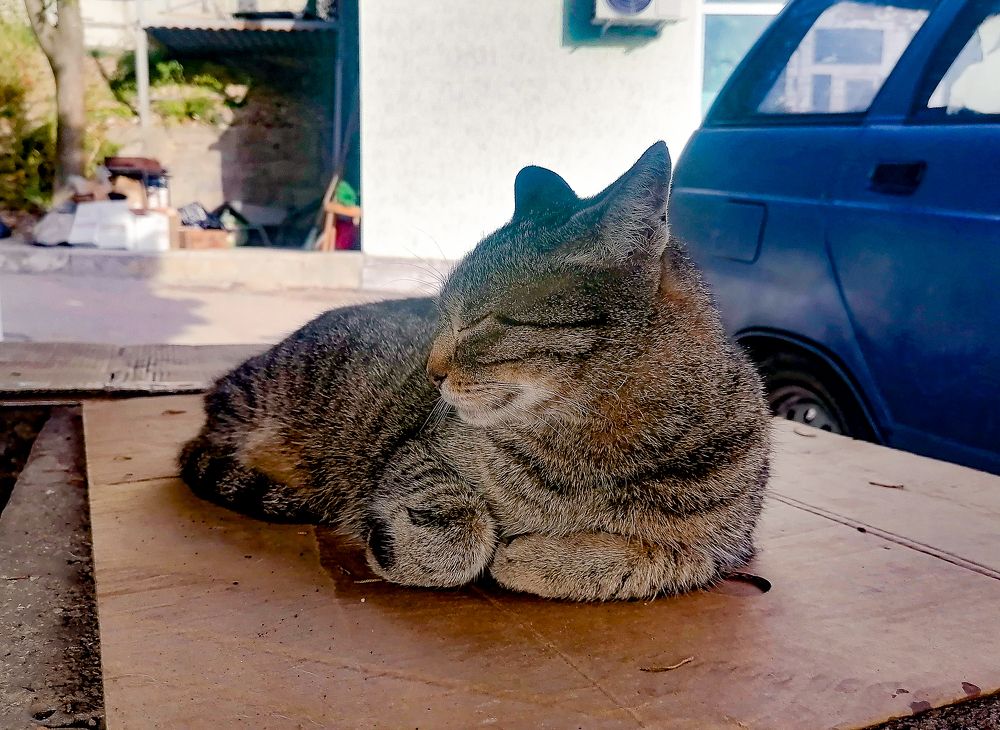 Photograph by Константин