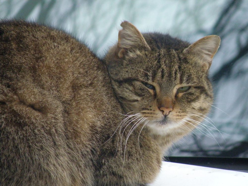 Photograph by Константин