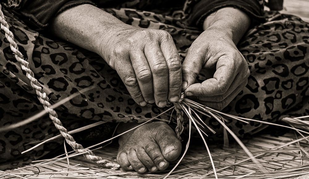 Фотография автора maram ali