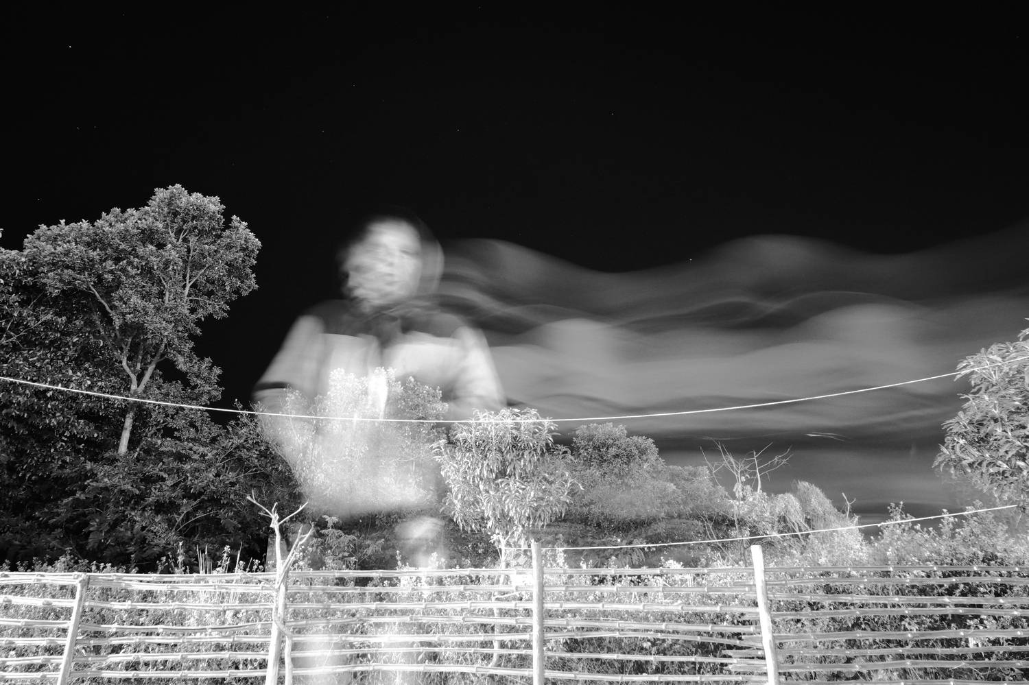 Photo #10798928