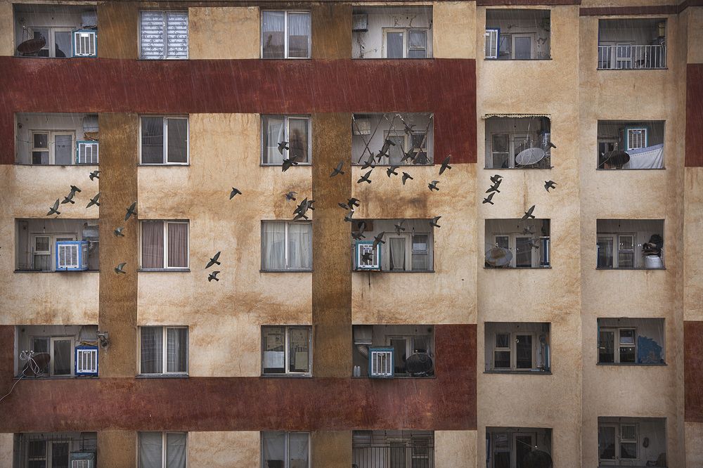 Photograph by Iraj Jabbari