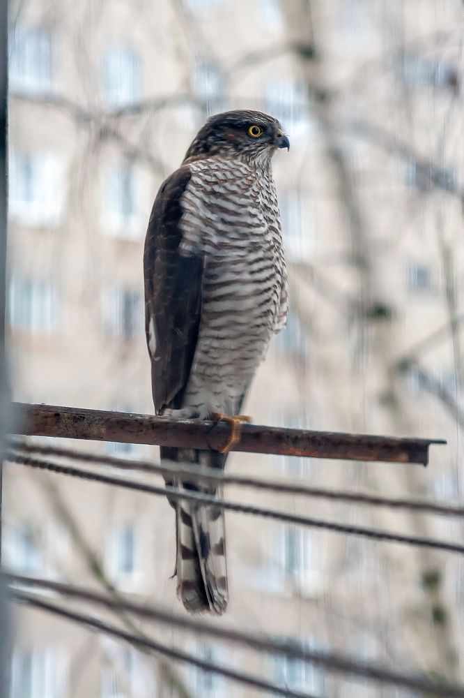 Photograph by Алексей Трифонов