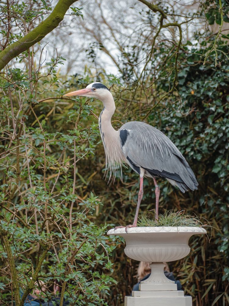 Photograph by Ирина Протченко