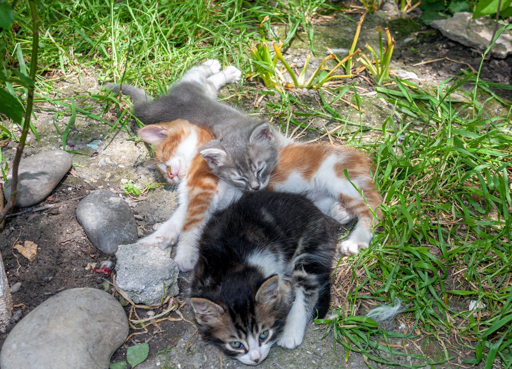 Photograph by Сергей Христинич