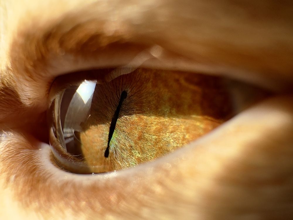 Photograph by Ника Обида