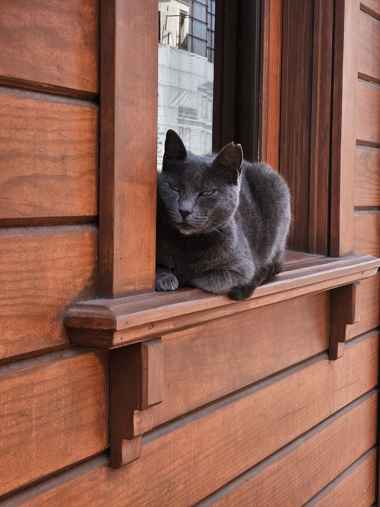 Photograph by Andrey Kondrov