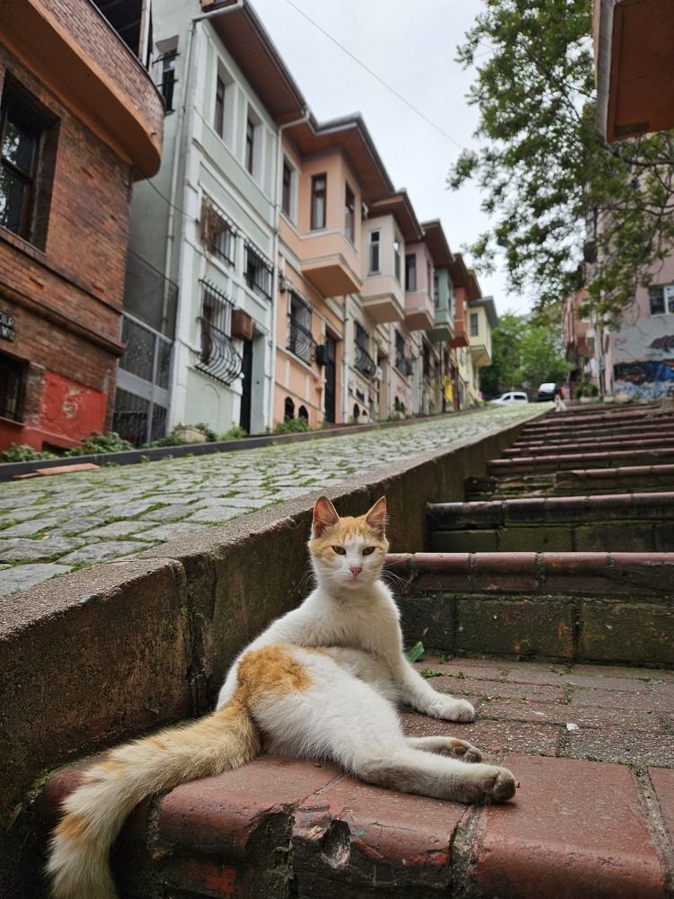 Photograph by Andrey Kondrov