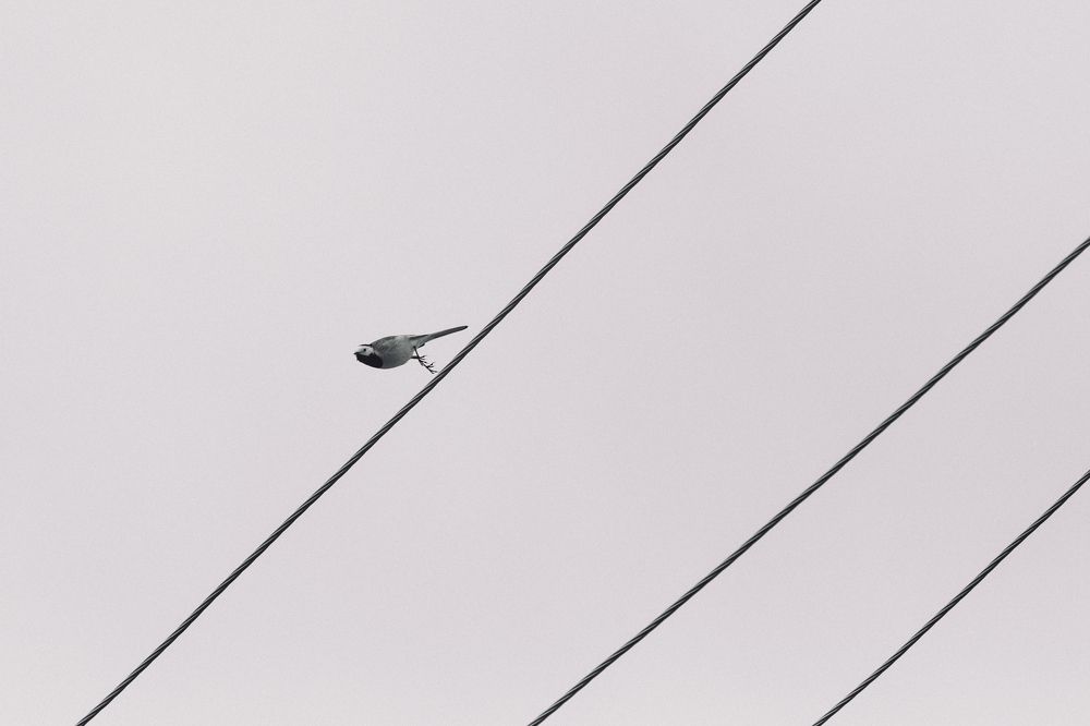 Фотография автора Андрей Колоденков