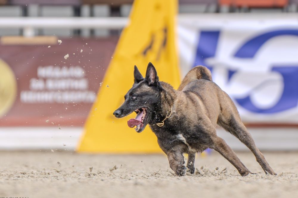 Photograph by Сергей Жиркевич