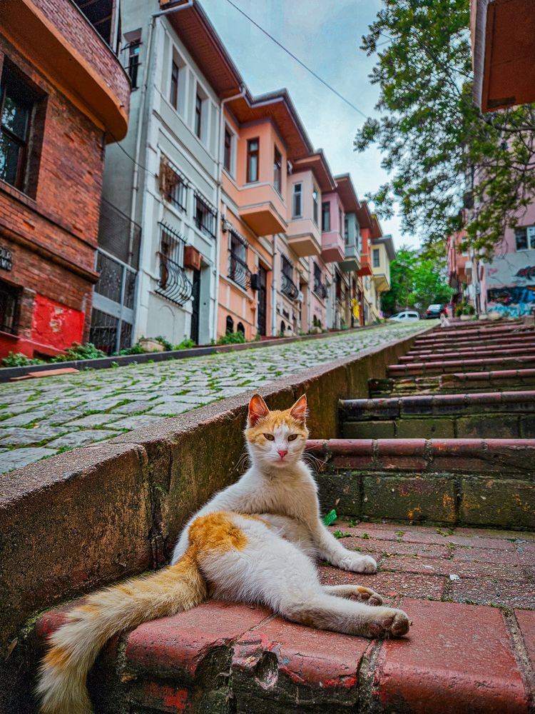 Photograph by Andrey Kondrov