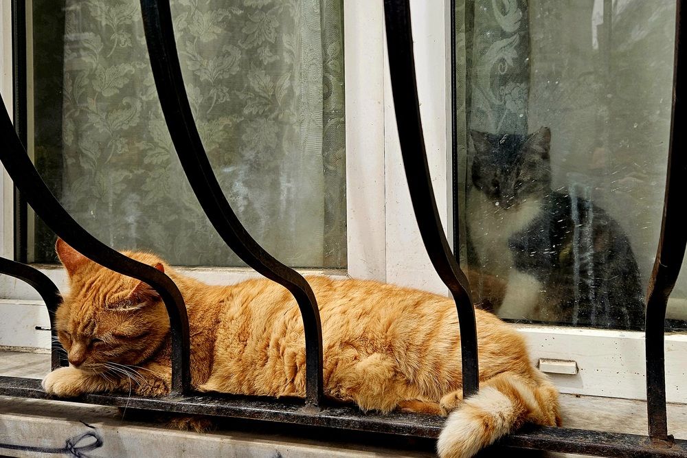 Photograph by Andrey Kondrov