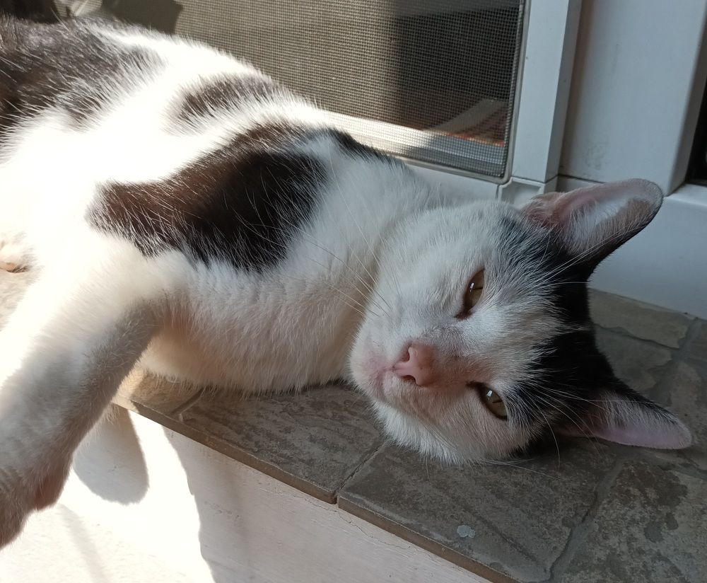 Фотография автора BUTYKA ENIKŐ- ÉVA