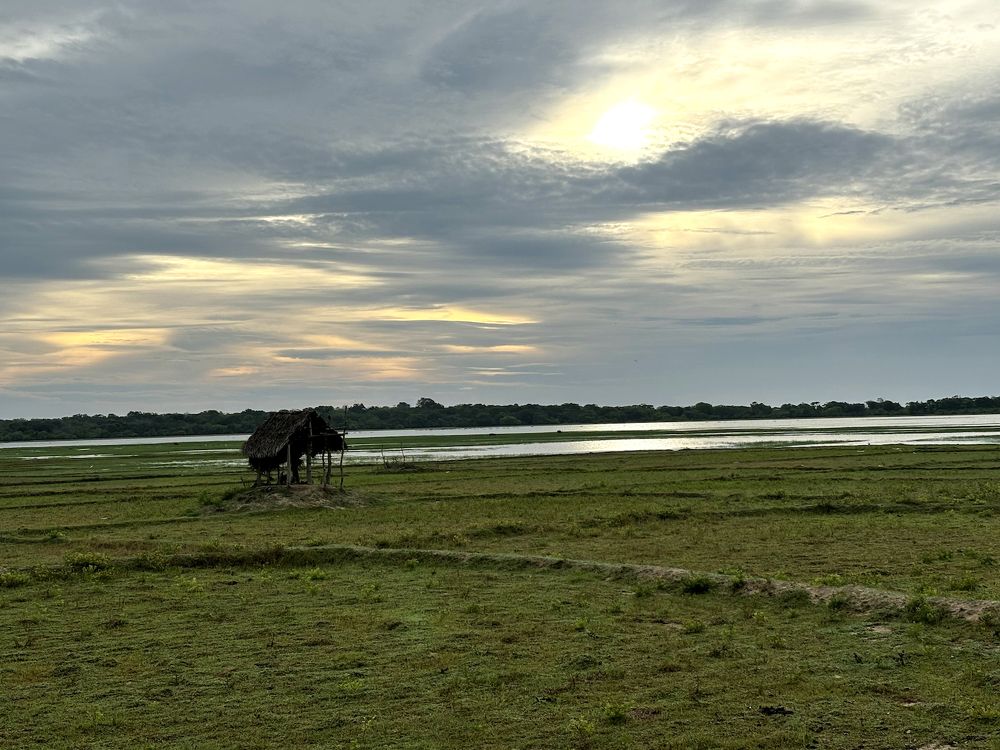 Photograph by HEMAMALI GUNASEKARA