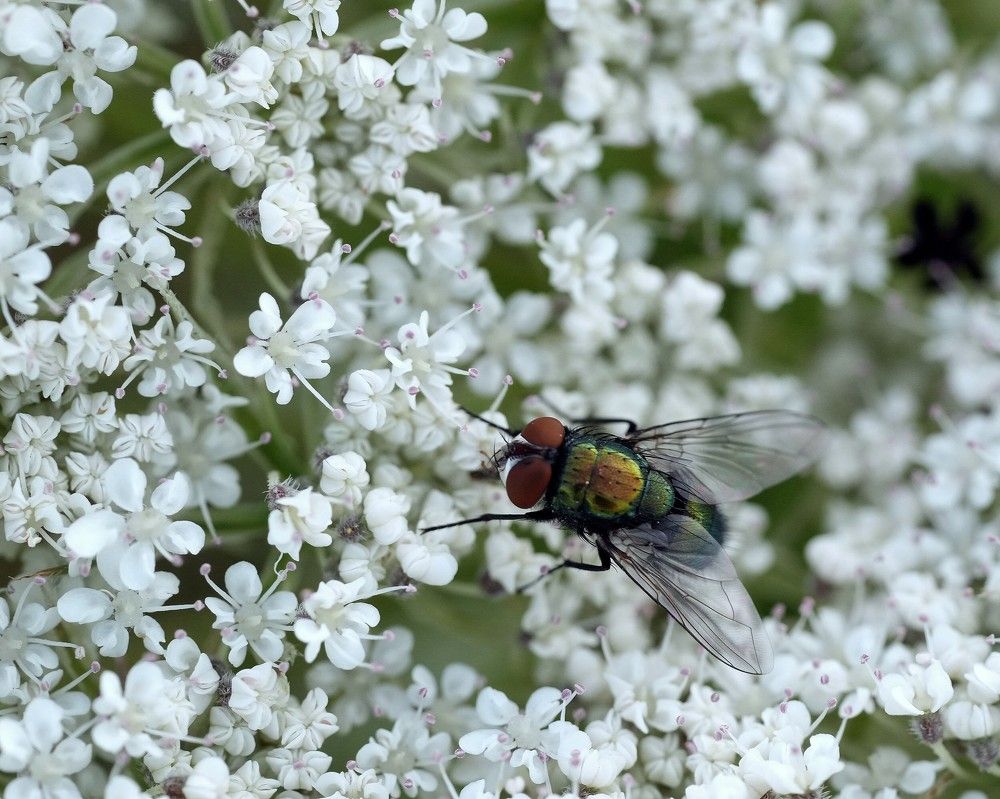 Фотография автора Nastasya Sablina