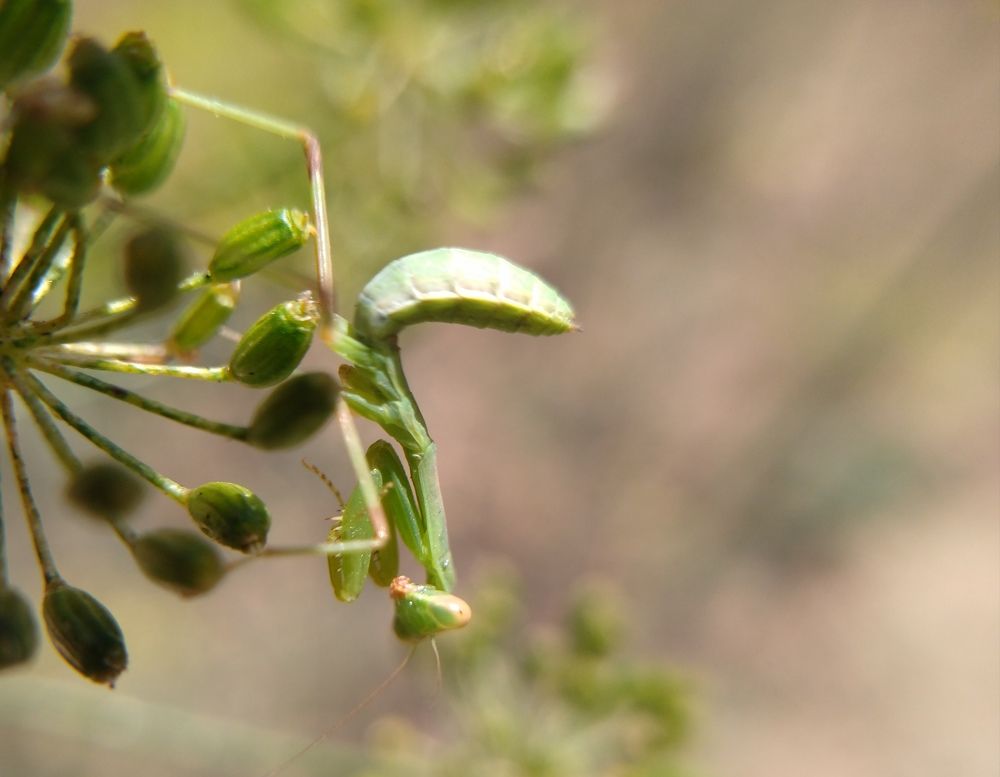 Photograph by Анна Степанова