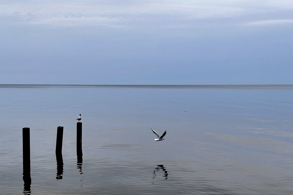 Photograph by Рина Серёгина